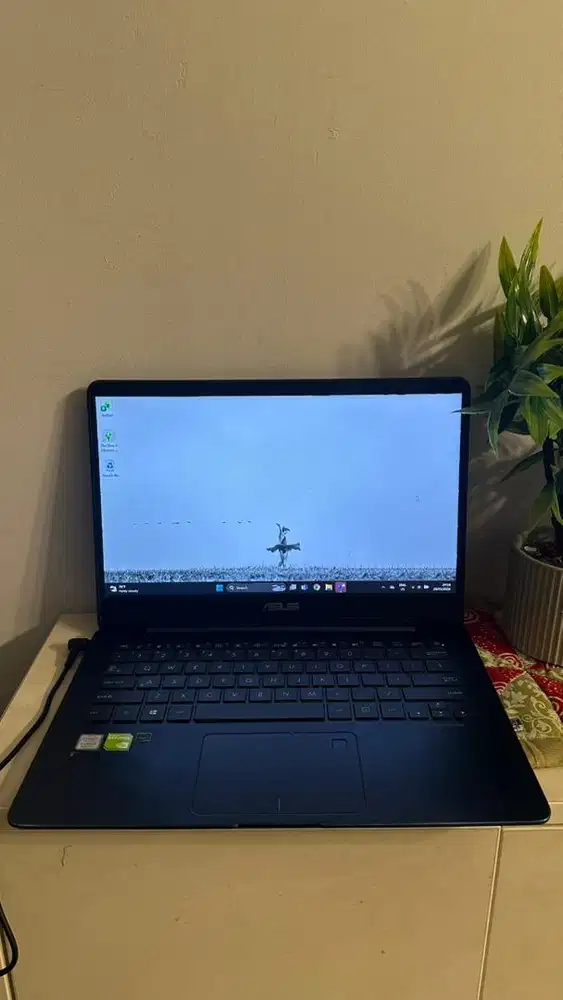 ASUS ZenBook UX430UNR