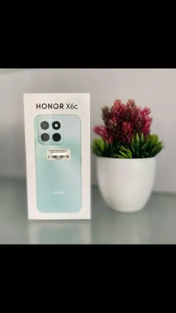 Ready Honor X6C