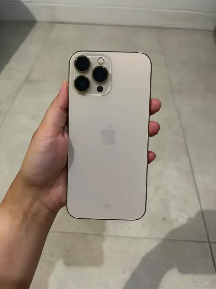 Iphone 13 Pro Max 128 Gb Digimap Resmi