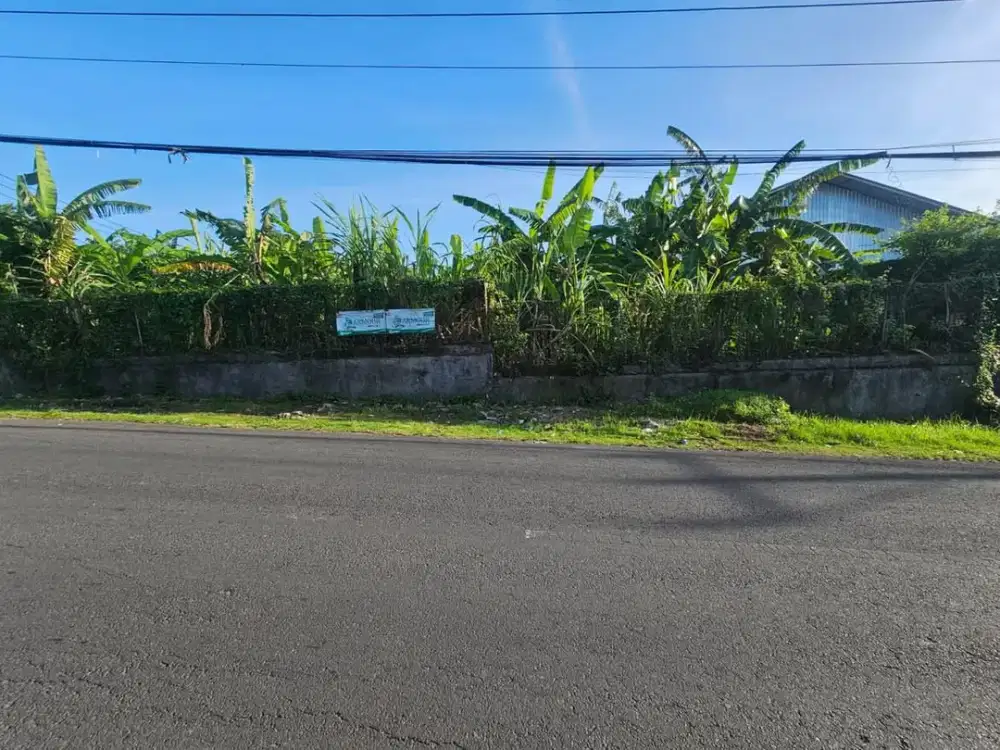 Dijual Tanah Gunung Catur Gatsu Barat Denpasar Bali Lokasi Strategis Cocok untuk Kantor Gudang atau Hunian