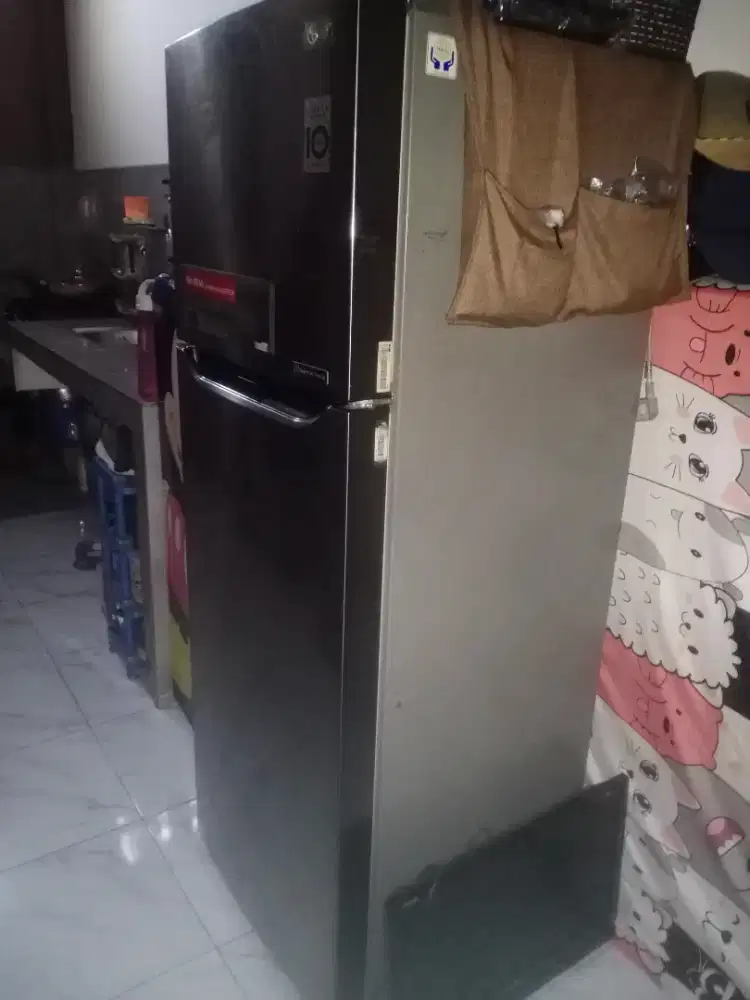 kulkas 2 pintu merk LG