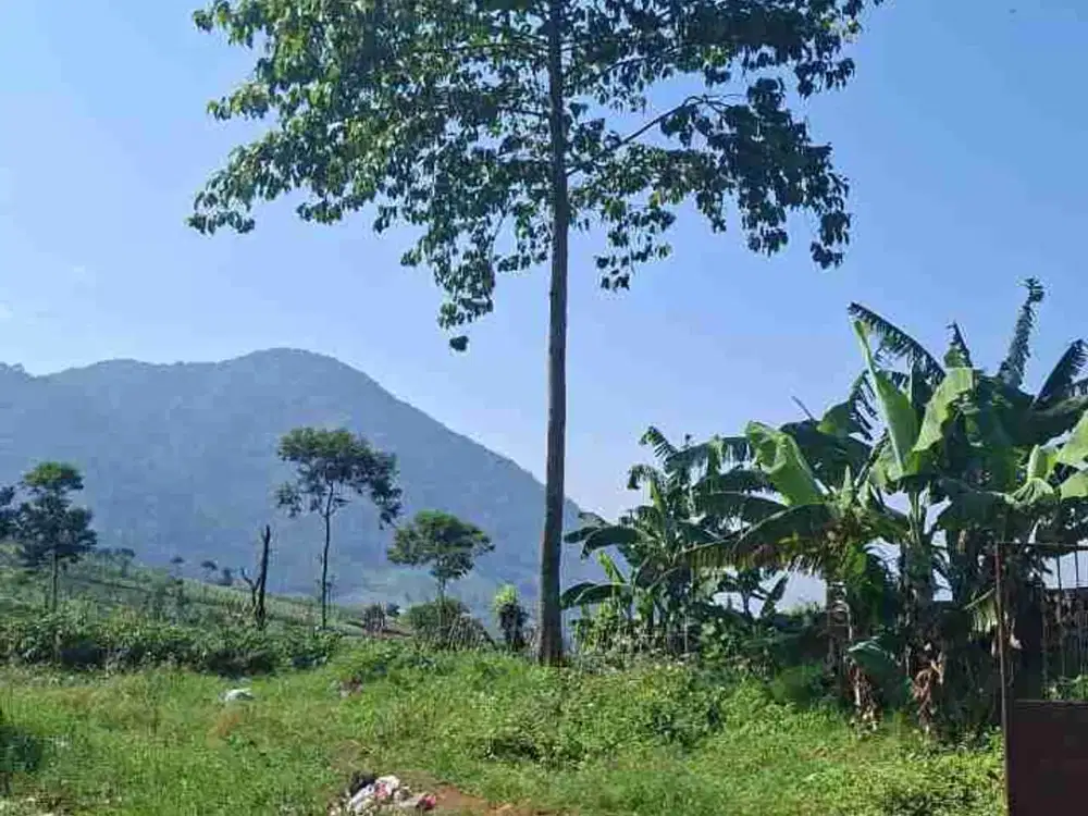 Dijual murah tanah dicijapati