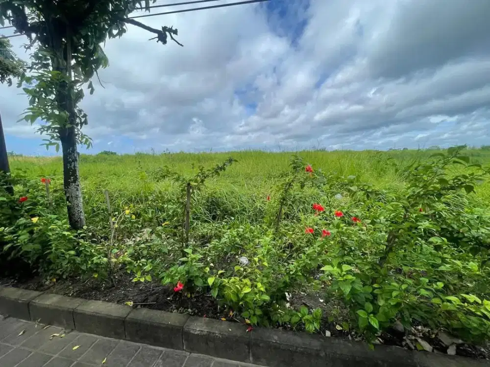 Dijual Tanah Utara Puspem Badung Bali Cocok Bangun Gudang dan Tempat Usaha