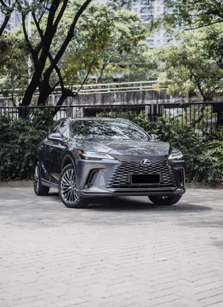 NIK 2024 Lexus RX350h Grey on Mocca Interior