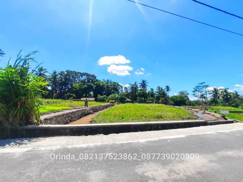 Tanah 2787m2 Candibinangun Pakem Dekat Jl Kaliurang, Jl Palagan, UII Terpadu