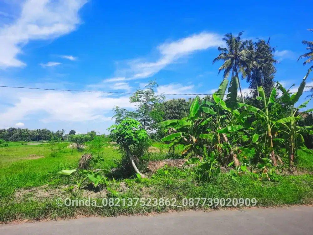 Tanah SHMS 2998m2 Jl Sidomoyo Cebongan Dekat Ringroad Barat, UNISA, Jl Godean Km 7 Sleman, Jl Kebon agung, Munggur