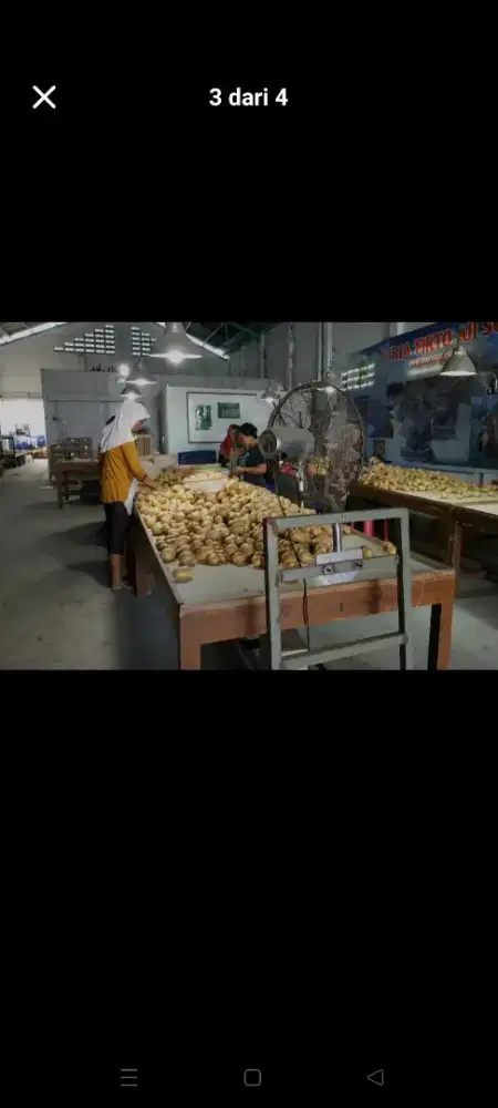 Meja kayu jumbo 2.5 meter