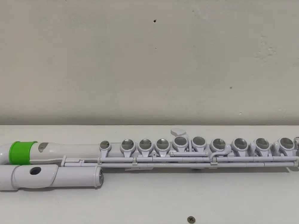 Flute / Student Flute / J-Flute Merk Nuvo 17 Keys