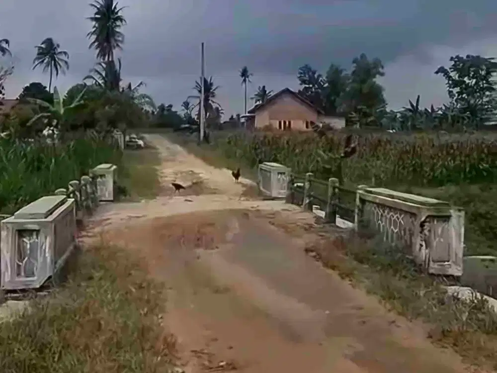 tanah 2,1 hektar di belakang bandara branti natar