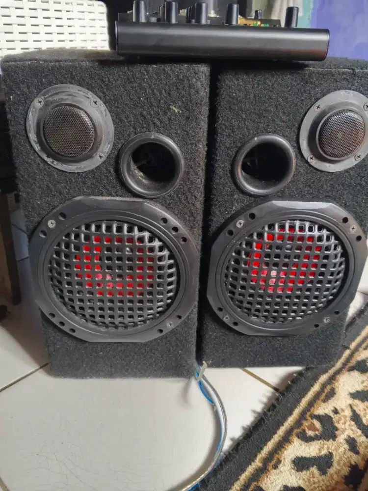 Speaker pasif 6 inc