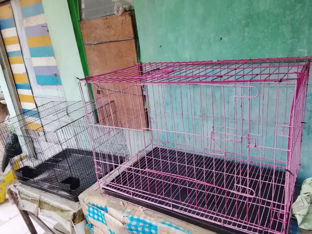 Kandang kucing bekas