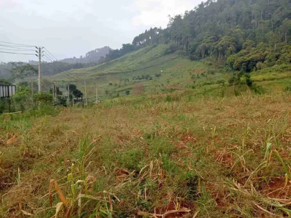 dijual cepat tanah kadungora garut
