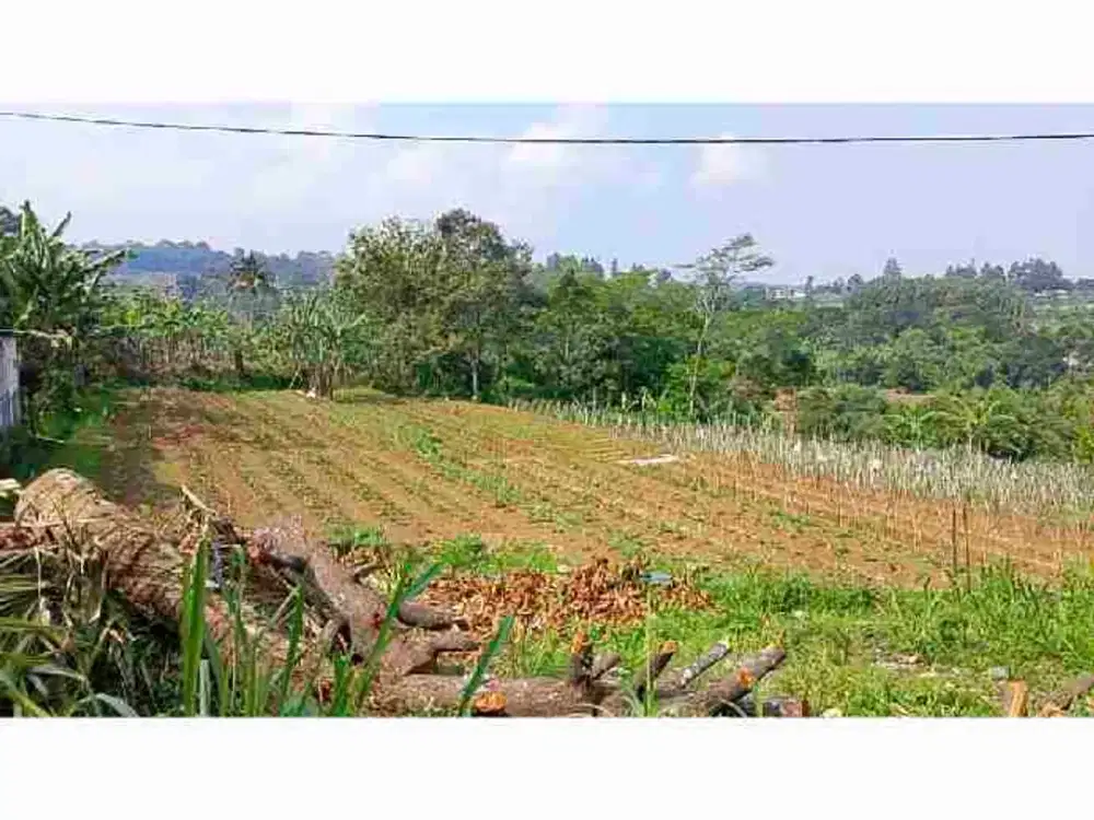 Di jual tanah darat harga lagi turun.sangat cocok untuk villa dan berkebun hanya 10 menit dari ekit tol bocimi caringin