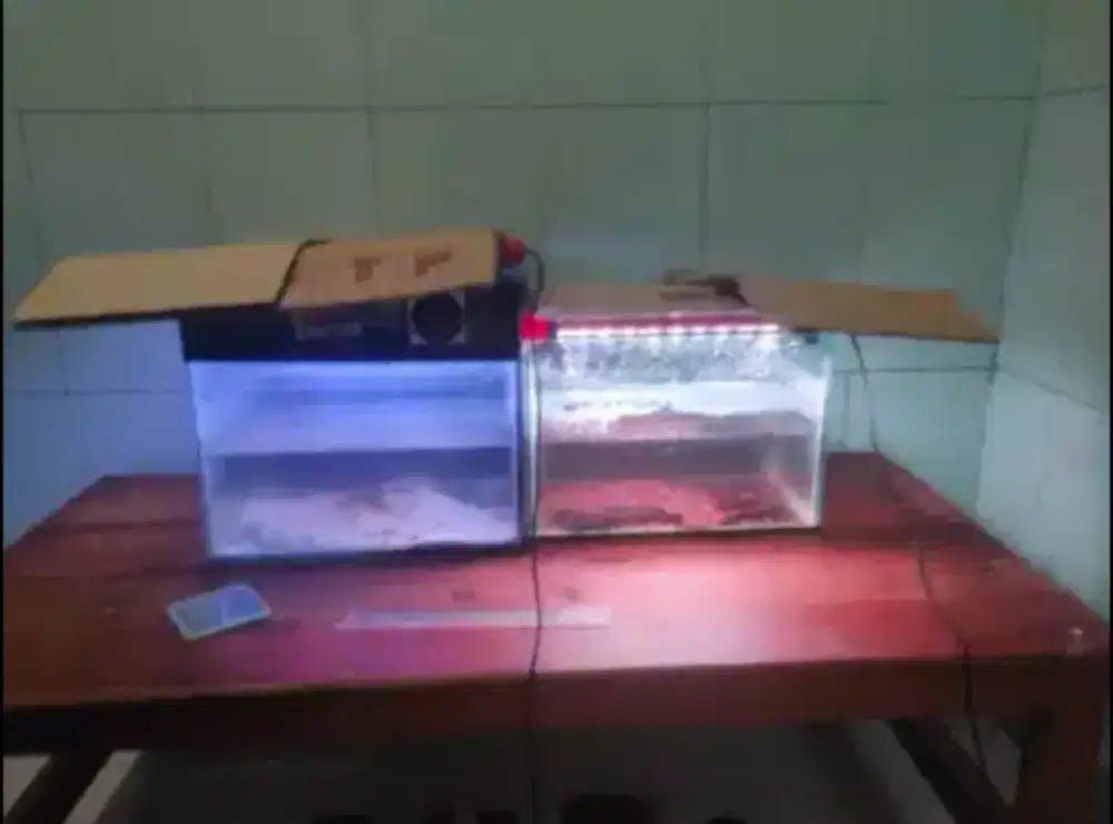 Akuarium bekas masuk bisa dipake