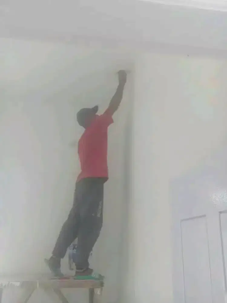 Cat dinding dan pintu