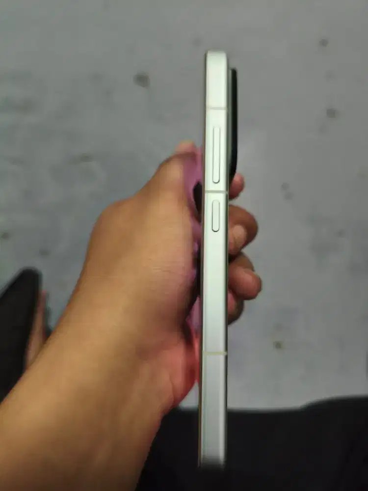 Xiaomi 15 12/256