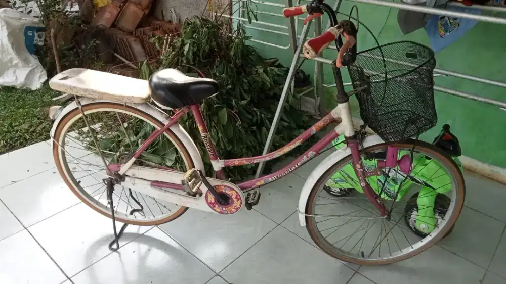 Dijual sepeda dewasa / sedang
