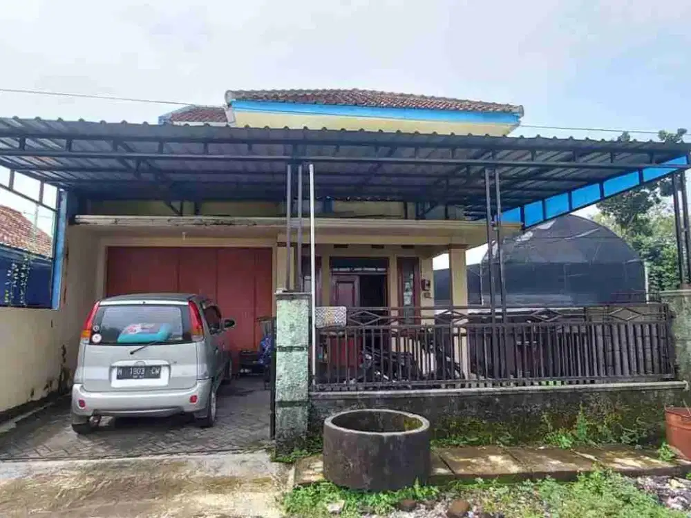 BU !! MURAH! Rumah Bagus Tanah Luas Di Maguwoharjo Dekat Jogjabay