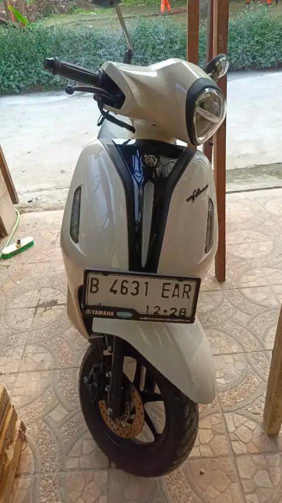 Grand Filano 2023