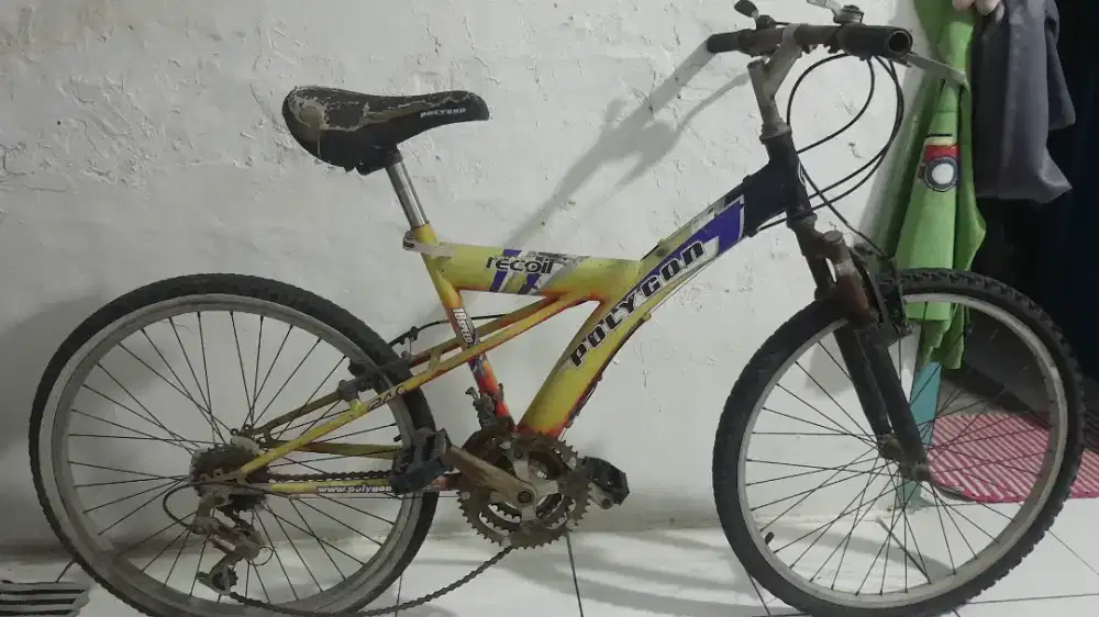 Sepeda polygon ban 24