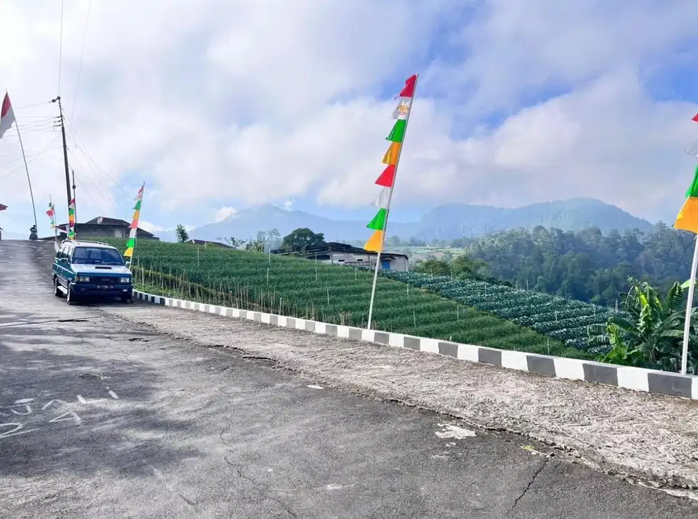 Tanah Murah 1150 m2 Tawangmangu