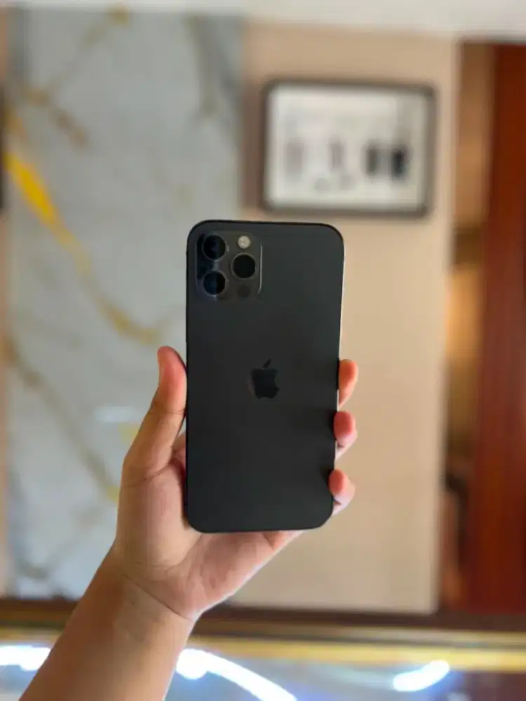Iphone 12 Pro 256gb Inter All Operator