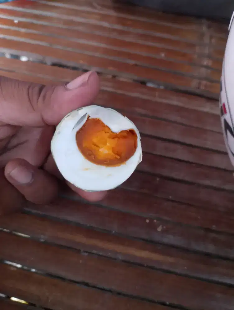 Jual Telor Bebek