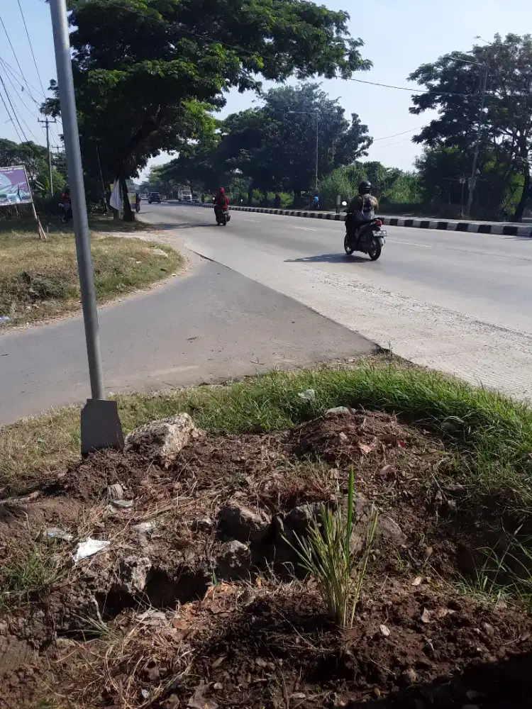 Tanah 1000 m di karawang timur
