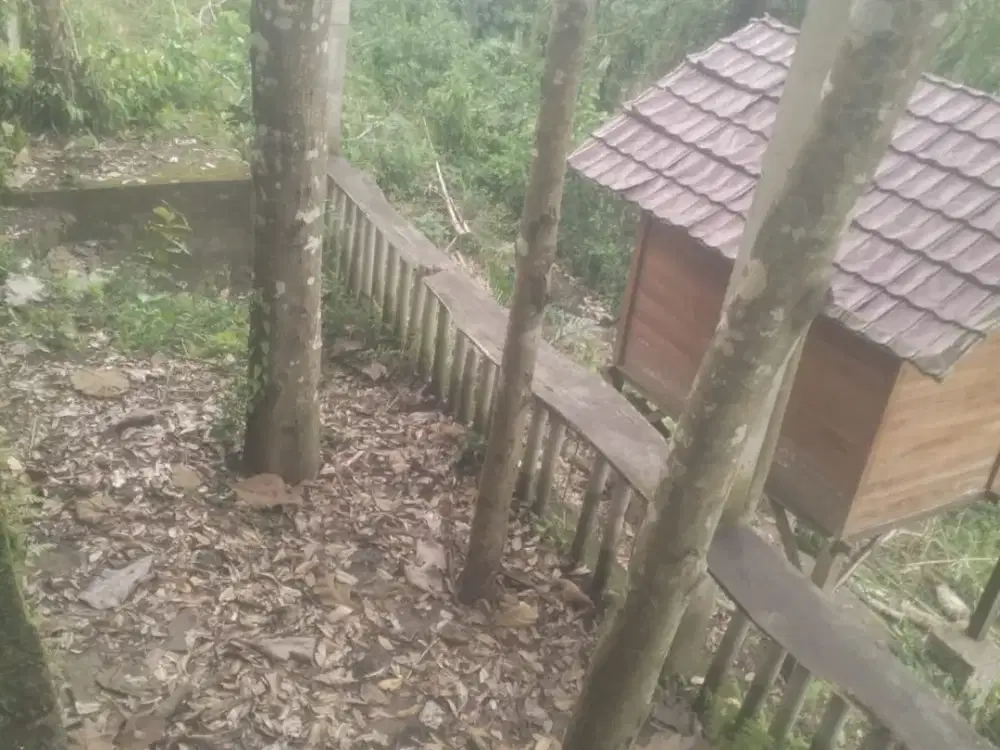 TANAH KOSONG DI OBYEK WISATA SANGEH DEKAT SEKOLAH NEGRI