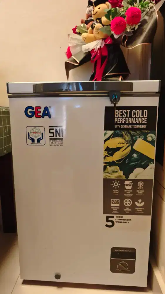 CHEST FREEZER GEA 100 L