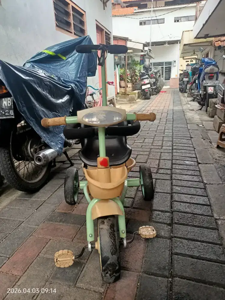 Sepeda anak Aviator