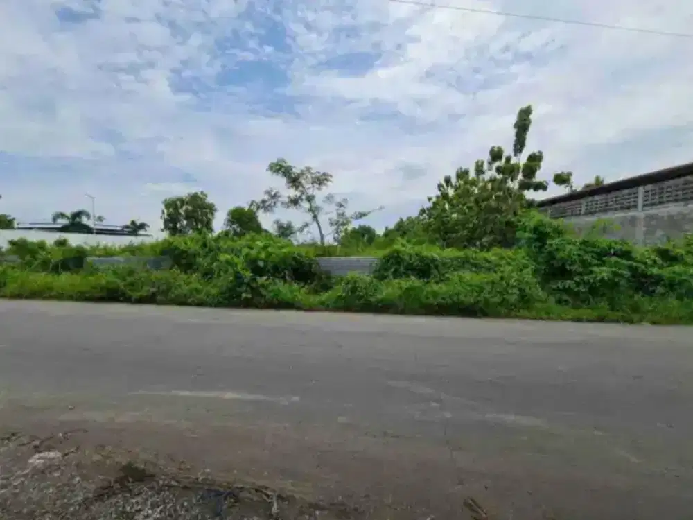 Dijual Tanah Pekarangan Zona Kuning Lokasi Jebres,Solo Luas 5555m2