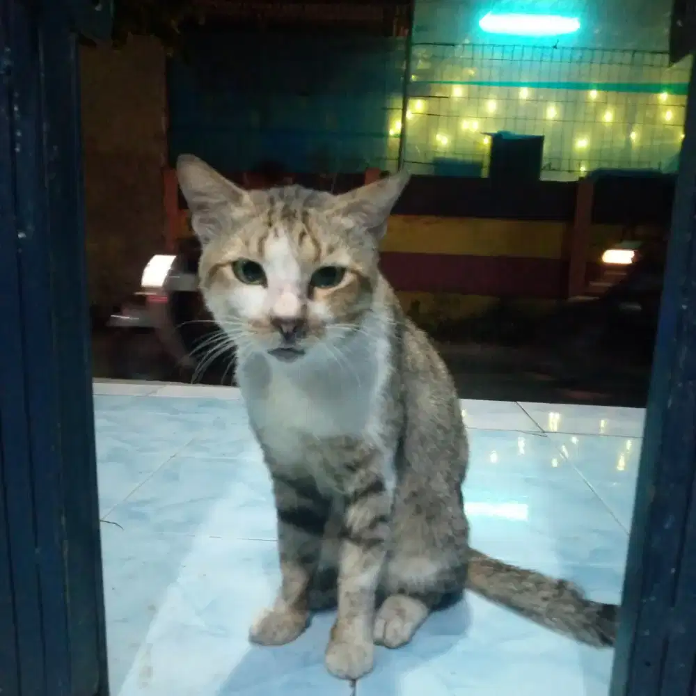 Lagi cari kerja