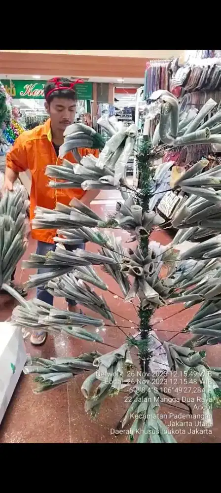 Di jual pohon natal bekas seperti baruu