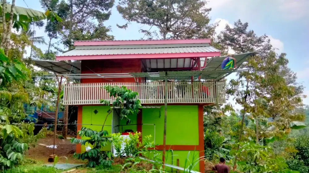 Dijual Kebun Durian Bonus rumah
