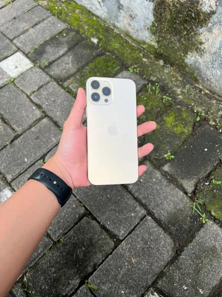 Iphone 13 pro max 256gb ibox