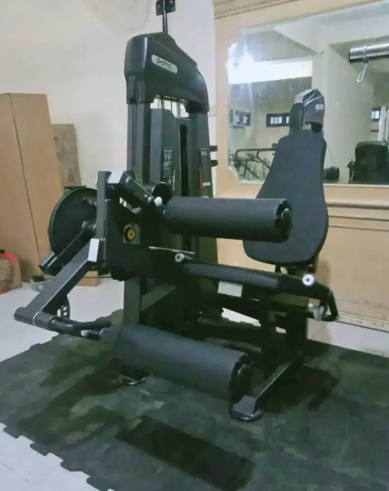 DHZ LEG EXTENSION & LEG CURL ALAT FITNESS GYM CENTER
