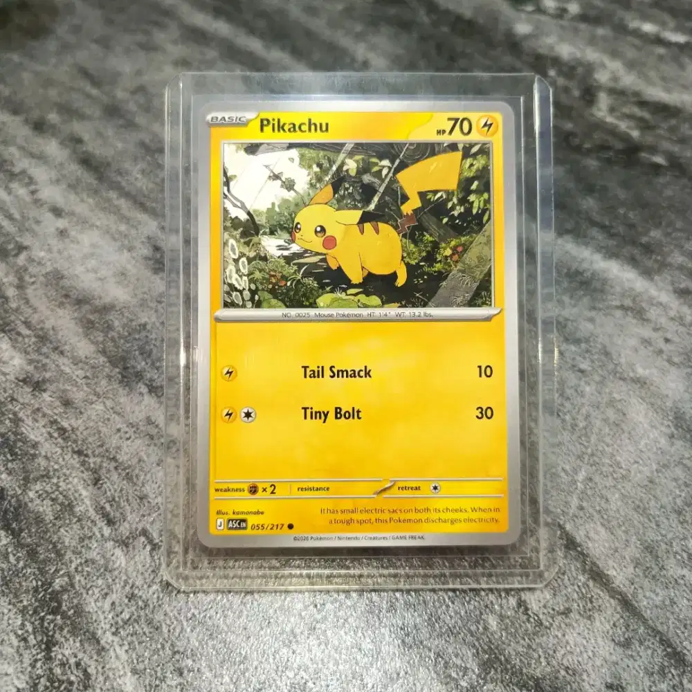 Kartu pokemon Pikachu english asli original