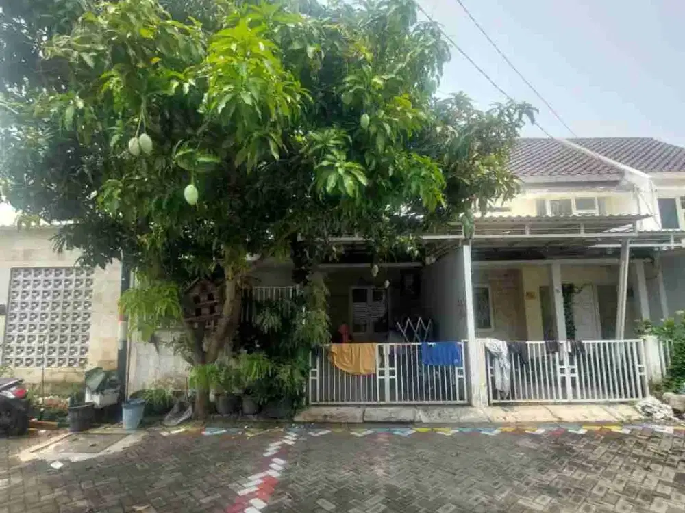 DI JUAL RUMAH

KEL. : WONOREJO 
KEC. : RUNGKUT 
KAB  : SURABAYA