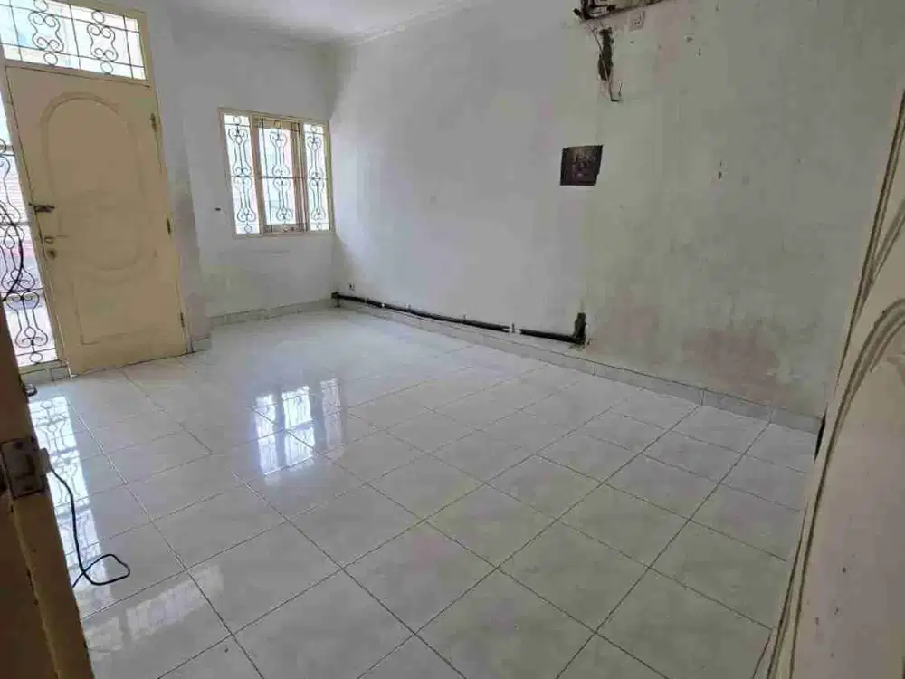 Dijual Rumah Kelapa Kopyor Kelapa Gading