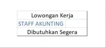 Dibutuhkan Tenaga Akunting yang menguasai Program Accurate