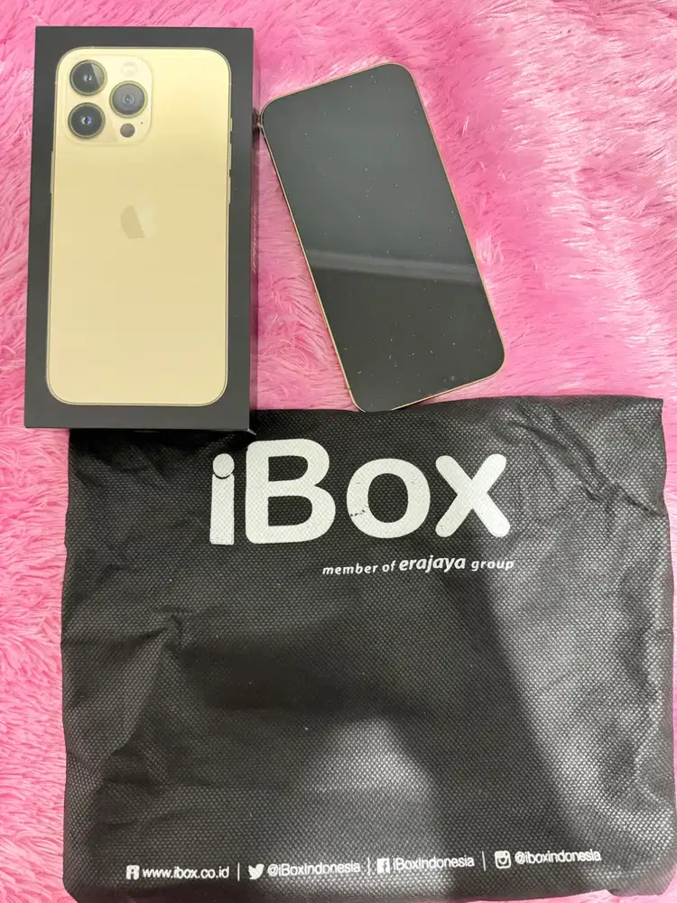 Dijual Iphone 13 Pro 256gb (Gold)
