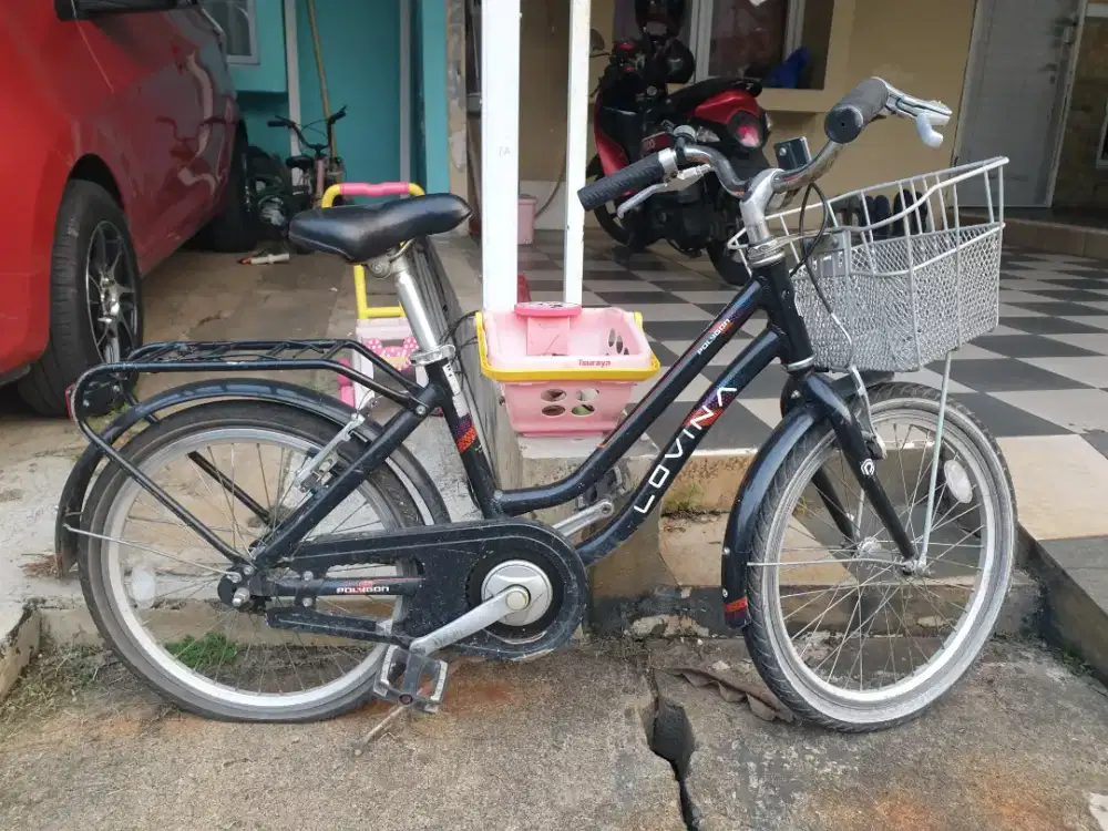 Dijual sepeda polygon lovina