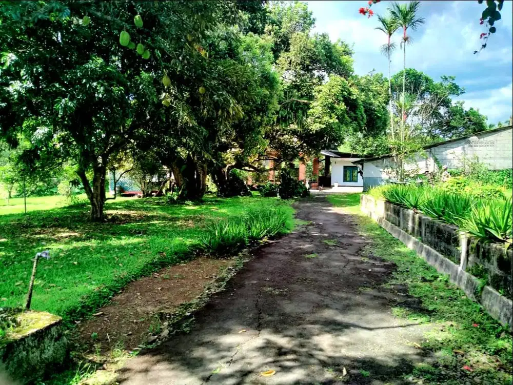 Jual Cepat Tanah di Sukabumi dipinggir Jalan Raya SHM 3.9 Hektar