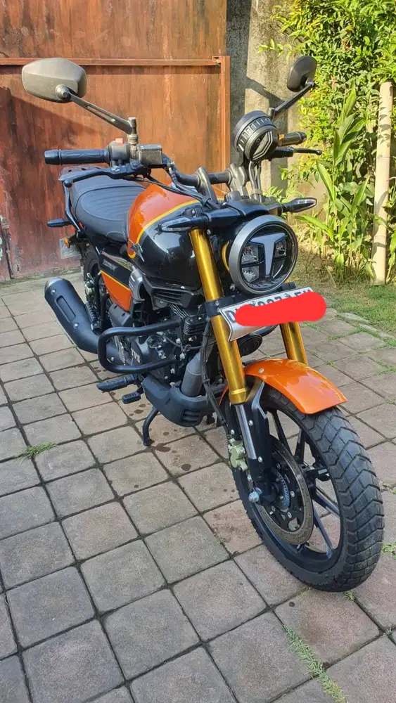 TVS Ronin 225cc