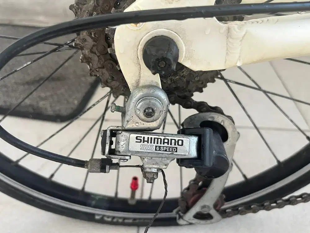 Dahon Archer CDM