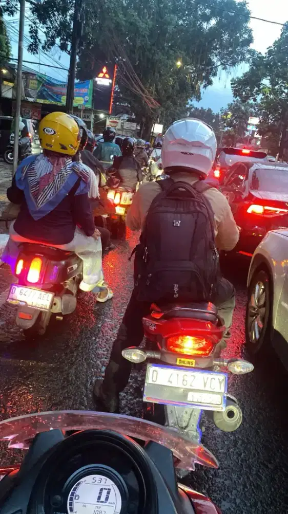 Cari Kerja Tukang Kebun Bersih-bersih