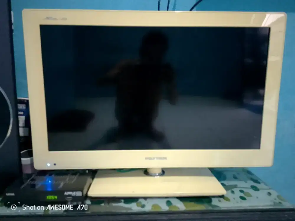 TV Polytron 24 inc