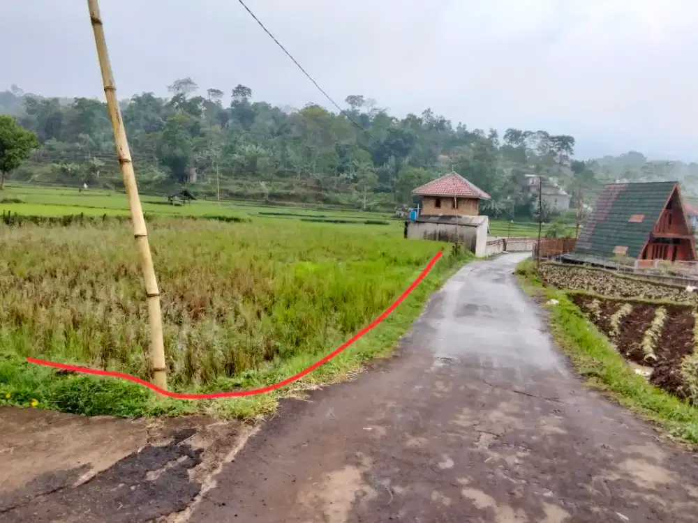 Sawah produktif akses mobil