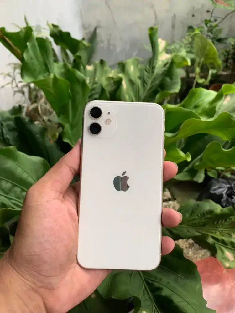 iPhone 11 64Gb iBox